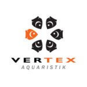 Vertex